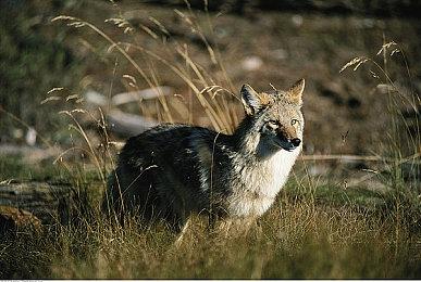 像素风科幻动作游戏《Block 17》Steam页面 2026年发售